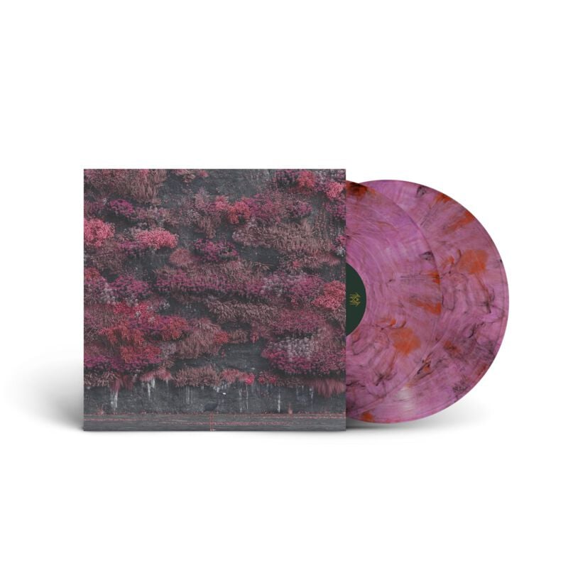0198029155815 - Even In Arcadia - EMP Exclusive Vinyl LP multicolor