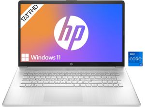 0198122479887 - Notebook 17-cn2254ng Notebooks Gr 16 GB RAM 1000 GB SSD Core i7 Windows 11 Home silberfarben (silber)