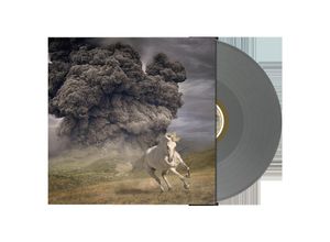 0602445670802 - Year Of The Dark Horse (Opaque Grey Col Lp) (Vinyl) - The White Buffalo (LP)