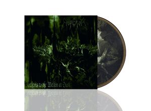 0602448862198 - Anthems To The Welkin At Dusk (LtdPicture Lp) - Emperor (LP)