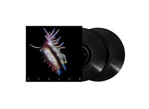 0602448927019 - Evolve - Sub Focus (LP)