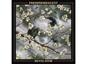 0602458843477 - Revelator - Phosphorescent (CD)