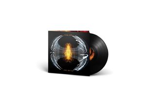 0602458971163 - Dark Matter (Vinyl) - Pearl Jam (LP)