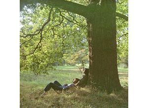 0602507354541 - Plastic Ono Band (2 LPs) (Vinyl) - John Lennon (LP)