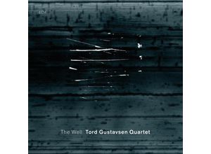 0602527858968 - The Well - Tord Quartet Gustavsen (CD)