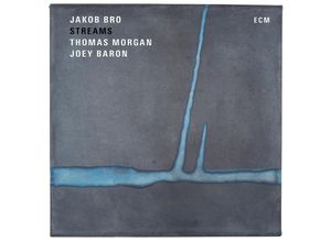 0602557170245 - Streams (Vinyl) - Jakob Bro Thomas Morgan Joey Baron (LP)