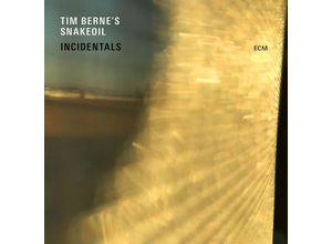 0602557672572 - Incidentals - Tim Bernes Snakeoil (CD)