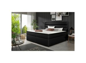 0602728219032 - Boxspringbett Schlafzimmerbett FESTO 140x200cm Kunstleder Soft Schwarz