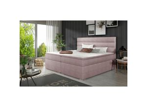0602728219322 - Boxspringbett Schlafzimmerbett festo 180x200cm Stoff Omega Rose