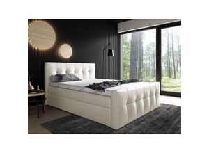 0602728225088 - Boxspringbett Schlafzimmerbett OWEN 180x200cm Kunstleder Creme