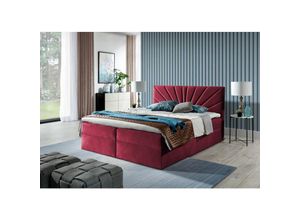 0602728226429 - Fun Moebel - Boxspringbett Schlafzimmerbett carerra 120x200cm Weinrot