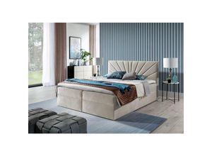 0602728226443 - Boxspringbett Schlafzimmerbett carerra 140x200cm Beige