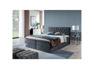 0602728226467 - Boxspringbett Schlafzimmerbett carerra 140x200cm Anthrazit