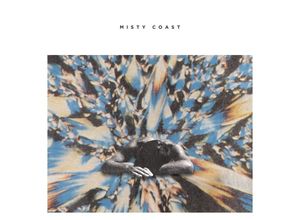 0603375140618 - Misty Coast (Vinyl) - Misty Coast (LP)