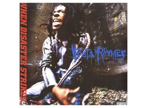 0603497841301 - When Disaster Strikes - Busta Rhymes (LP)