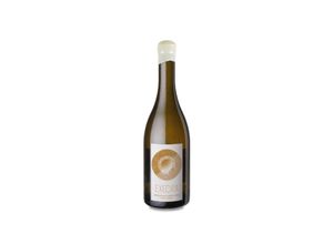 0606110996730 - Puiggròs Exedra Blanc 2022 - 75cl 0606110996730 - Puiggròs Exedra Blanc 2022 - 75cl