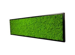 0607178160231 - Moos-Design Bild Moosbild Iceland Design mit 100% Islandmoos