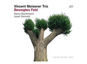 0614427968227 - Bewegtes Feld - Vincent Meissner Trio (CD)