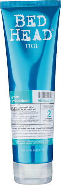 0615908426625 - Bed Head Urban Anti+Dotes Recovery Shampoo 250 ml