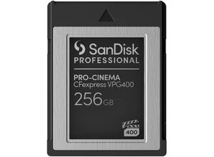 0619659184933 - SANDISK Speicherkarte PRO-CINEMA CFexpress VPG400 Typ B 256GB Speicherkarten Gr 256 GB schwarz (schwarz grau) Speicherkarten