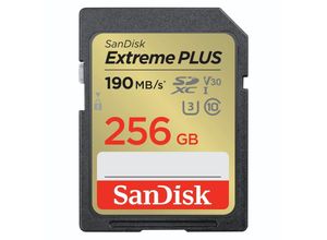 0619659189457 - SanDisk SDXC Extreme PLUS 256GB (R190MB s) + 2 Jahre RescuePRO Deluxe