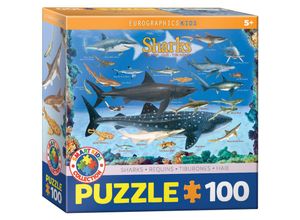 0628136610797 - Kids - Haie (Puzzle)