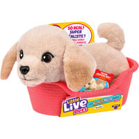 0630996266502 - Little Live Pets My Really Real S2 Puppy Mini - Buddy Kuscheltier