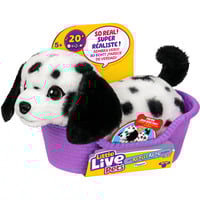 0630996266519 - Little Live Pets My Really Real S2 Puppy Mini - Pepper Kuscheltier