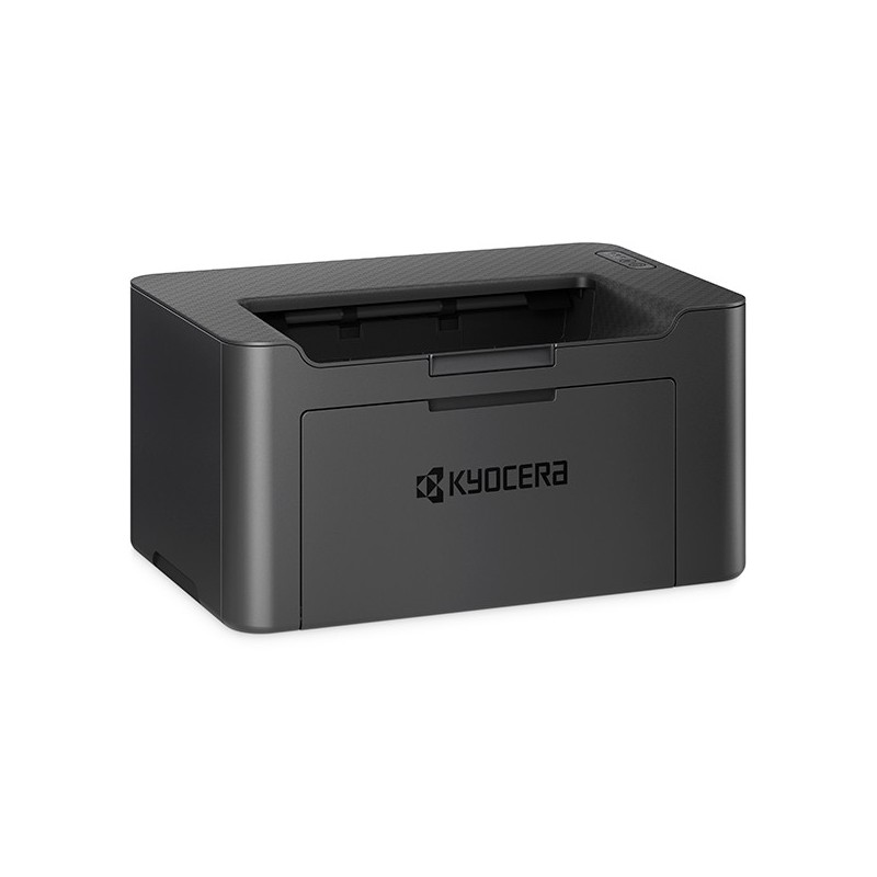 0632983069592 - PA2001w - Drucker - s w - Laser - A4 Legal - 1200 dpi - bis zu 20 Seiten Min - Kapazität 150 Blätter - USB 20 Wi-Fi(n)