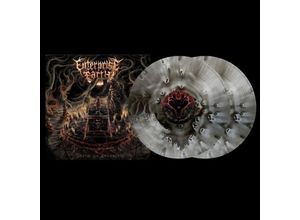 0634164022617 - An Anthology (Clear - Translucent Black Ice) - Enterprise Earth (LP)