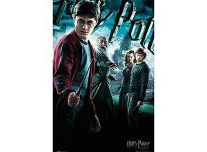 0636276588128 - Gbeye - Harry Potter und der Halbblut -prinz Poster Harry Dumbledore Hermine & Ron