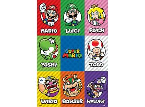 0638211160659 - - Super Mario Poster Characters