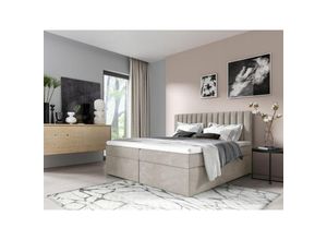 0641827135997 - Fun Moebel - Boxspringbett Schlafzimmerbett linnea 180x220cm Stoff Beige inkl Bettkasten