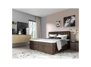 0641827136055 - Fun Moebel - Boxspringbett Schlafzimmerbett linnea 200x220cm Stoff Braun inkl Bettkasten