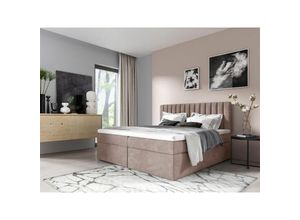 0641827136079 - Boxspringbett Schlafzimmerbett linnea 140x220cm Stoff Rose inkl Bettkasten