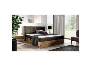 0641827140885 - Fun Moebel - Boxspringbett Bett beila 160x200cm Lancelot Eiche Stoff Braun inkl Bettkasten