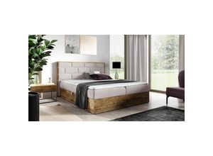 0641827141042 - Fun Moebel - Boxspringbett Bett beila 180x200cm Lancelot Eiche Stoff Hellbeige ink Bettkasten