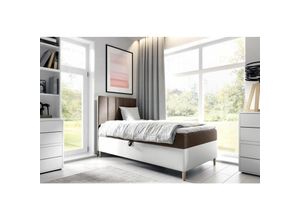 0641827145675 - Fun Moebel - Boxspringbett Gästebett Kinderbett helvi Nr1 100x200cm Weiss-Braun