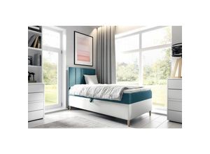 0641827145859 - Boxspringbett Gästebett Kinderbett HELVI Nr1 100x200cm Weiss-Türkis 0641827145859 - Boxspringbett Gästebett Kinderbett HELVI Nr1 100x200cm Weiss-Türkis