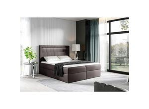 0641827149208 - Boxspringbett Schlafzimmerbett storm 200x200cm Kunstleder Schokoladenbraun inkl led