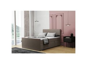 0645117265432 - Fun Moebel - Boxspringbett Schlafzimmerbett monty 200x200cm in Stoff Monolith Graubraun