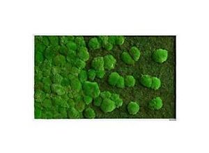 0647056637691 - best of GREEN Moos-Wand boGsGMbWKmVL140x40HoWe Grün