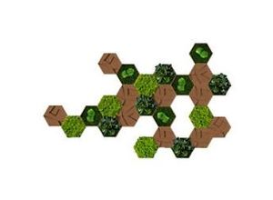 0647056637738 - Best of GREEN Kork-Hexagon Set mit 25 Grün Braun