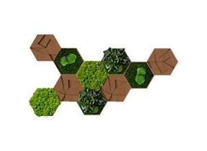 0647056637745 - Best of GREEN Kork-Hexagon Set mit 10 Grün Braun