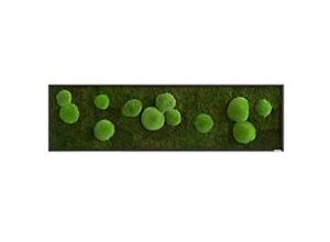 0647056637783 - best of GREEN Moos-Wand boGsGMbWKm140x40HoSw Grün