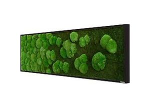 0647056637790 - best of GREEN Moos-Wand boGsGMbWKmVL140x40HoSw Grün