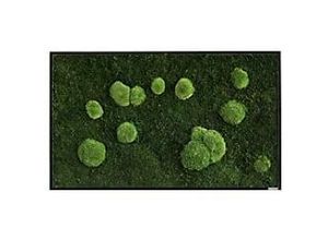 0647056637806 - best of GREEN Moos-Wand boG-sG-Mb-WKm-100x60-HoWe Grün