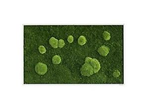 0647056637813 - Best of GREEN Moos-Wand 100 x 60 cm schwarzer Rahmen