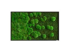 0647056637820 - best of GREEN Moos Wand boGsGMbWKmVL100x60HoWe Grün