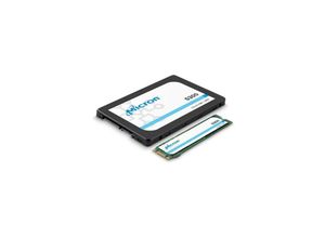 0649528927132 - Micron 5300 MAX 960 GB SATA 25-Zoll-SSD-Laufwerk MTFDDAK960TDT-1AW1ZABYY (DWPD 5)